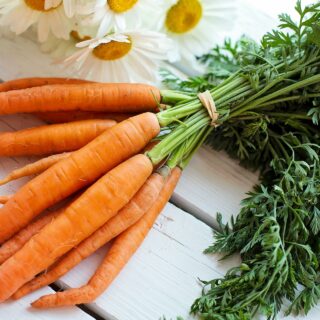 Морква: корисні властивості та шкода для організму при надмірному вживанні