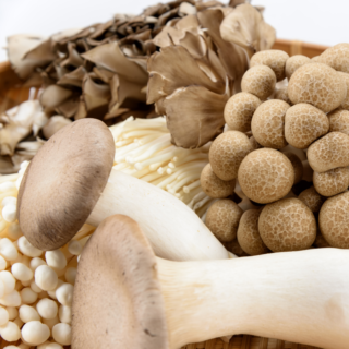 Чим корисні гриби для організму?